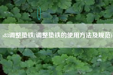 s83<a href='http://www.jahxnk.com/jichuangdiantiexilie/' target='_blank' title='調(diào)整墊鐵' ><strong>調(diào)整墊鐵</strong></a>(調(diào)整墊鐵的使用方法及規(guī)范)